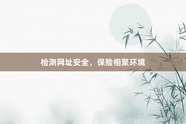 检测网址安全，保险相聚环境