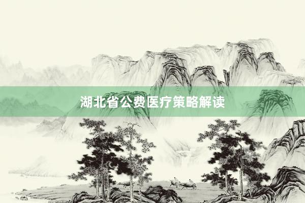 湖北省公费医疗策略解读